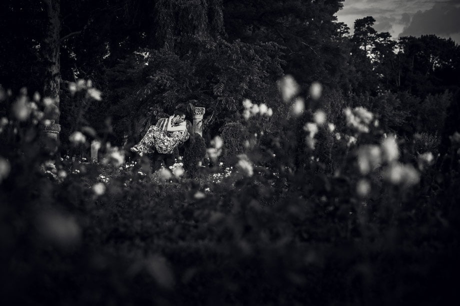 fotografii logodna Mogosoaia, foto nunta, gradina trandafiri